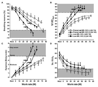 Clinical Interpretation of Cardiopulmonary Exercise Testing: Current Pitfalls and Limitations